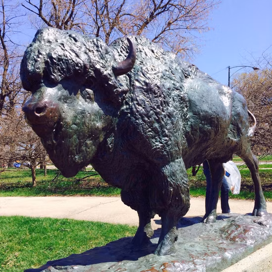 Bronze Statue American Bison Scott Rogers Legacy Gallery