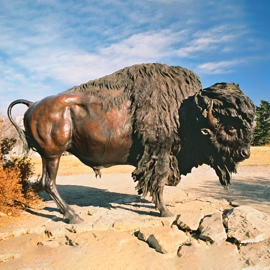 Bronze Statue American Bison Scott Rogers Legacy Gallery